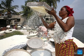 Habari Picha: Watu wakitengeneza unga wa muhogo mjini Abidjan, Cote d'Ivoire