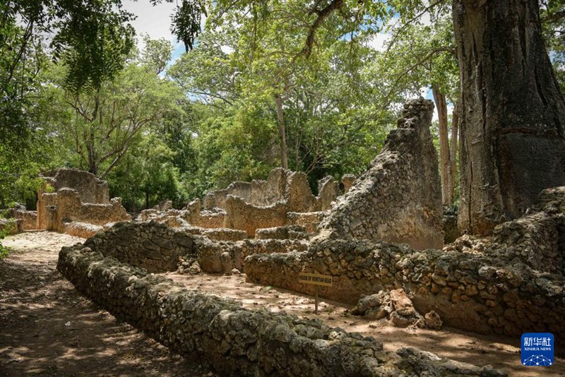 Picha hii iliyopigwa katika Kaunti ya Kilifi, Kenya, Aprili 15, 2023, ikionyesha sehemu ya magofu ya mji wa kale wa Gedi.(Picha ya kumbukumbu/Xinhua/Han Xu)