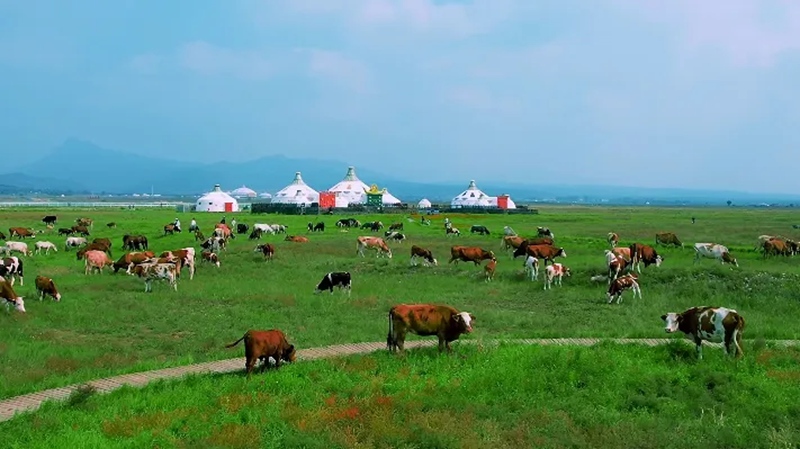 Hohhot, Mji maarufu wa kihistoria wa China kwenye Njia ya Kale ya kusafirisha Chai