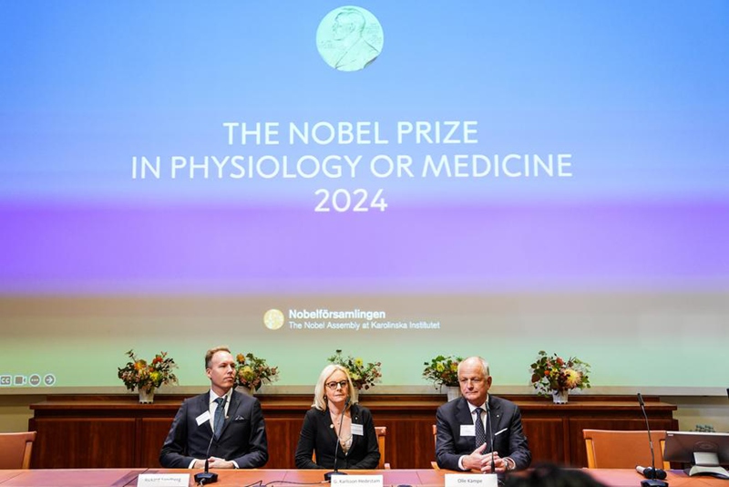 Tuzo ya Nobel Mwaka 2024 katika Fiziolojia na Tiba ikitangazwa kwenye Taasisi ya Karolinska mjini Stockholm, Sweden, Oktoba 7, 2024. (Xinhua/Peng Ziyang)